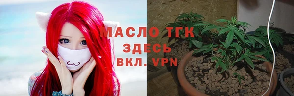 спиды Гусь-Хрустальный