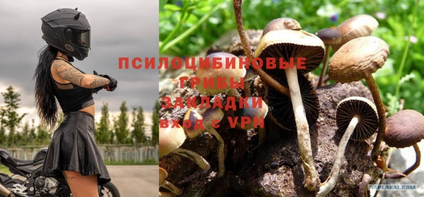 синтетический гашиш Вяземский