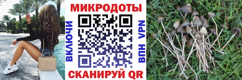 цена   Еманжелинск  OMG ссылки  Галлюциногенные грибы прущие грибы 